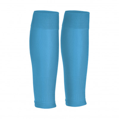 Leg