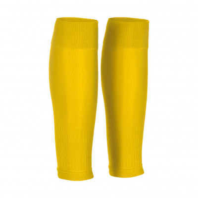 Leg