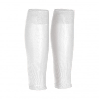 Leg